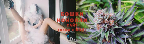 индика Белоозёрский