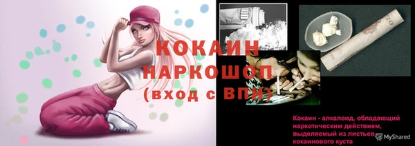 индика Белоозёрский