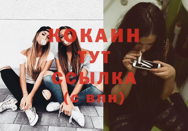 индика Белоозёрский
