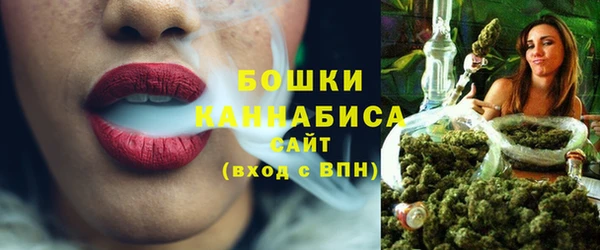 индика Белоозёрский