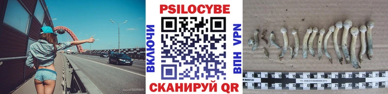 Псилоцибиновые грибы Psilocybine cubensis  Купить где  Оханск 